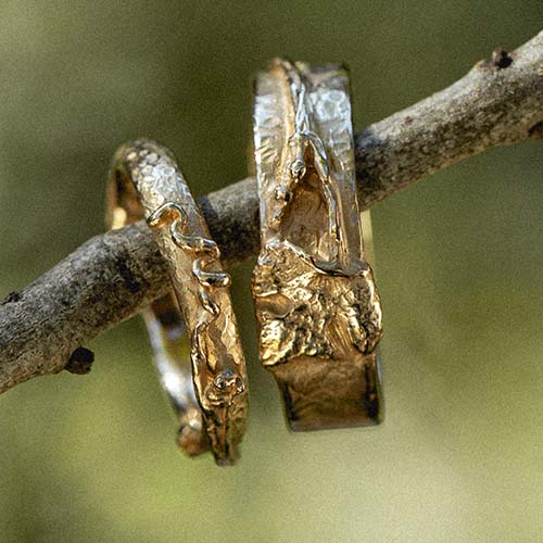 fedi_pampino_500x500